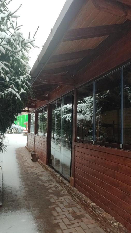 Pensiunea Antonio Bran Μπραν Εξωτερικό φωτογραφία